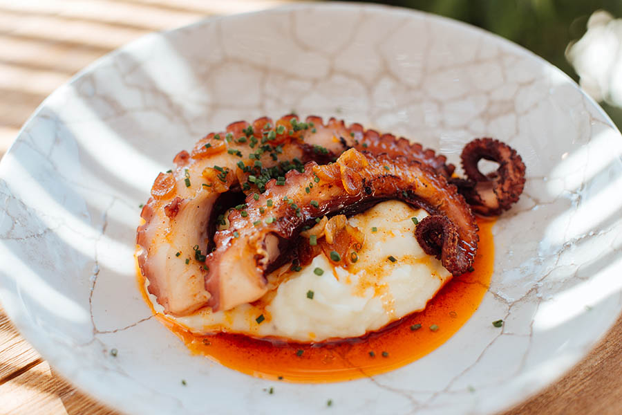 Pata de pulpo Imagen de pata de pulpo